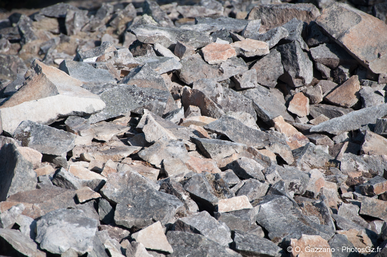 Au sommet de Wind Mountain - Etat de Washington